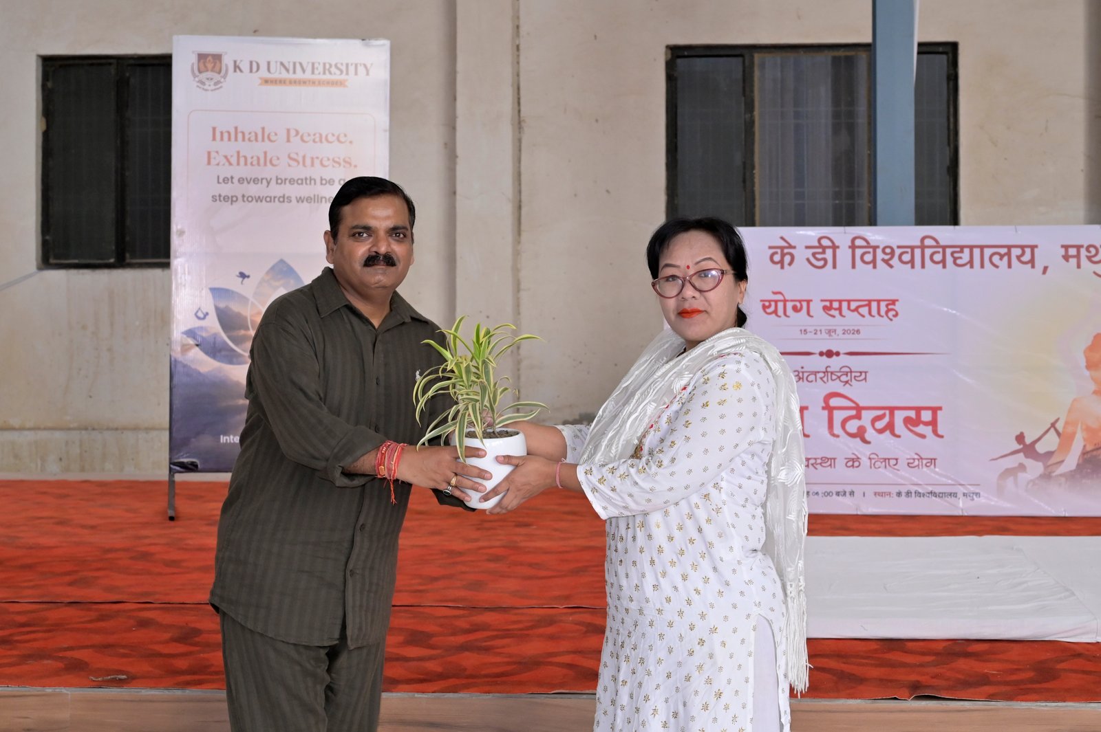 Gallery Background Item